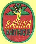 Banina Martinique 2.jpg (10669 Byte)