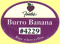 Friedas Burro Banana 4229.JPG (13688 Byte)