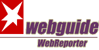 Logo Stern Webguide.GIF (2303 Byte)