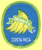 Mamila R Costa Rica.jpg (9211 Byte)