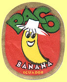 Paco Banana Ecuador.jpg (9873 Byte)