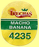 Trechas Brand Macho Banana 4235.jpg (9481 Byte)