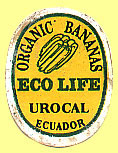Urocal Ecuador Eco Life Organic Bananas.JPG (23667 Byte)