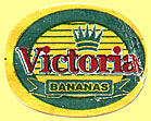 Victoria Bananas.jpg (10334 Byte)